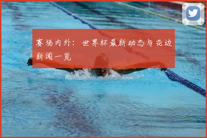 赛场内外：世界杯最新动态与花边新闻一览
